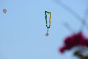 Manifestantes de Goiânia homenageiam vítimas da Covid-19