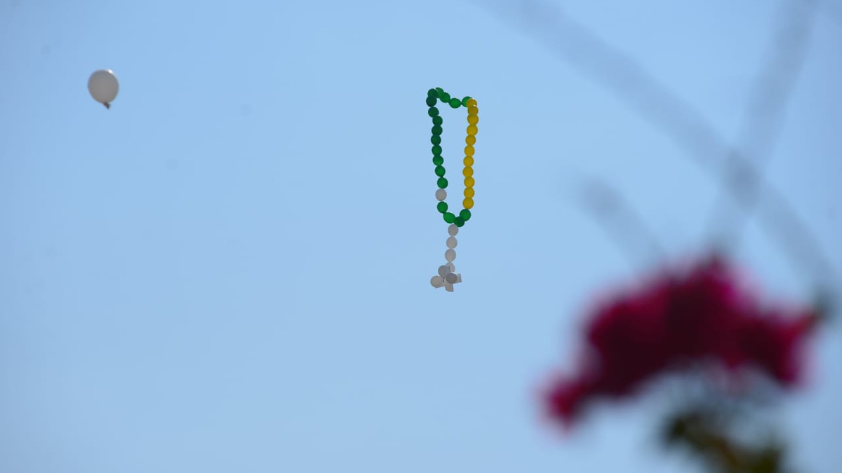 Manifestantes de Goiânia homenageiam vítimas da Covid-19