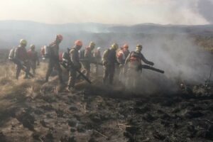 Dois bombeiros que trabalham no combate às chamas da Chapada dos Veadeiros testam positivo para Covid-19 (Foto: Divulgação - CBMGO)