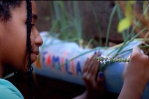 Mostra Infâncias Plurais lança 3ª coletânea