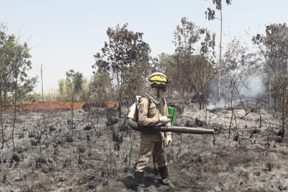 Incêndios florestais extremos devem aumentar mais de 50% até o fim do século, alerta ONU