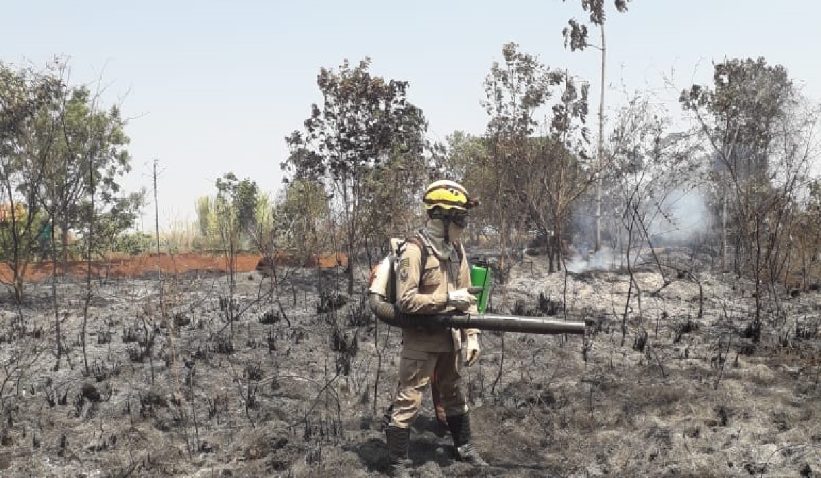 Incêndios florestais extremos devem aumentar mais de 50% até o fim do século, alerta ONU