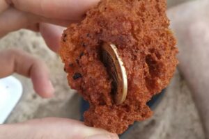 Baiano encontra moeda de R$ 1 dentro de bolinho de acarajé em praia de Salvador (Foto: Arquivo Pessoal)