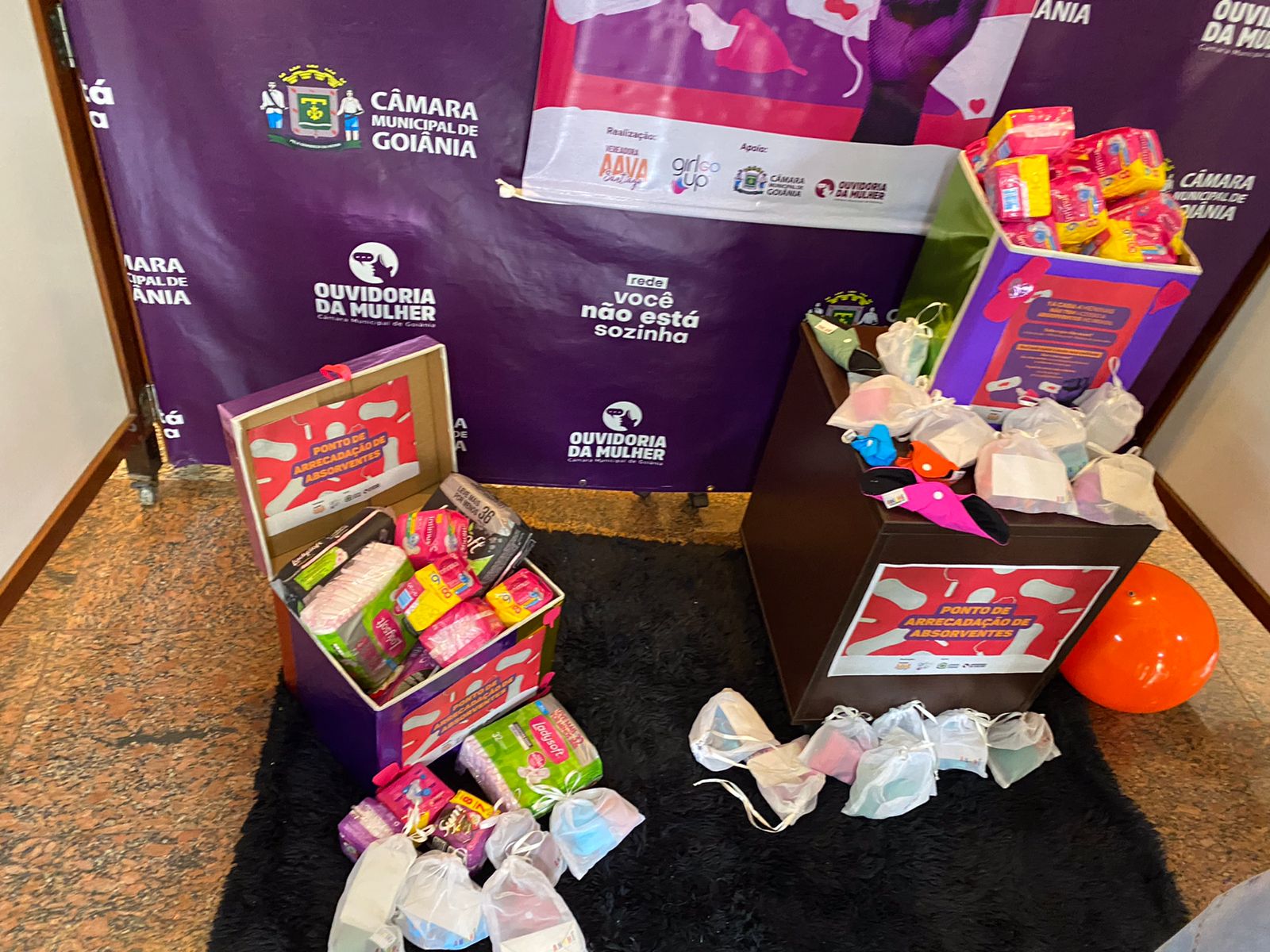 Câmara arrecada absorventes íntimos para doação até o fim do mês em Goiânia
