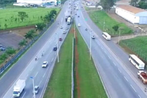 Árvore cai na BR-153, em Goiânia, e causa acidente