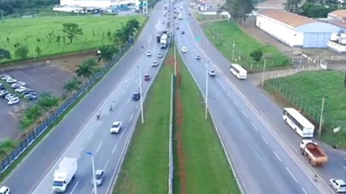 Árvore cai na BR-153, em Goiânia, e causa acidente