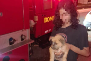 Cachorro é resgatado após cair em buraco de 4 metros de profundidade em Mineiros
