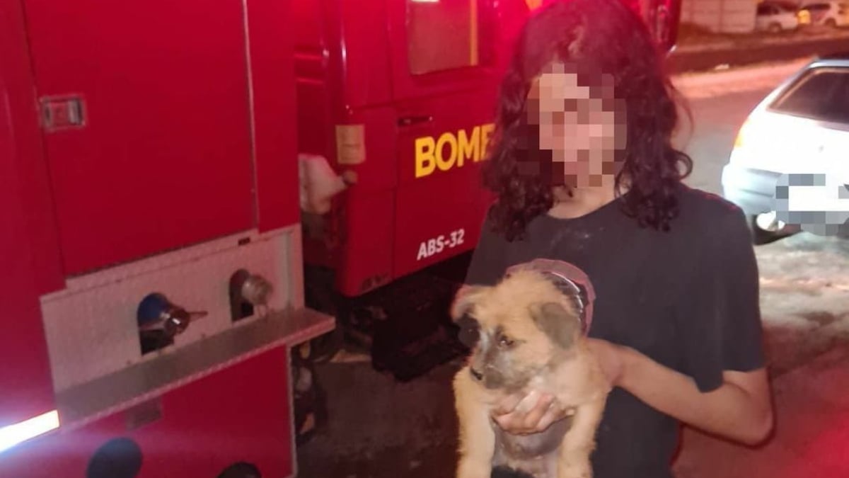 Cachorro é resgatado após cair em buraco de 4 metros de profundidade em Mineiros