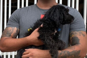 PMs de folga resgatam cadela abandonada amarrada em trilhos de trem em Luziânia