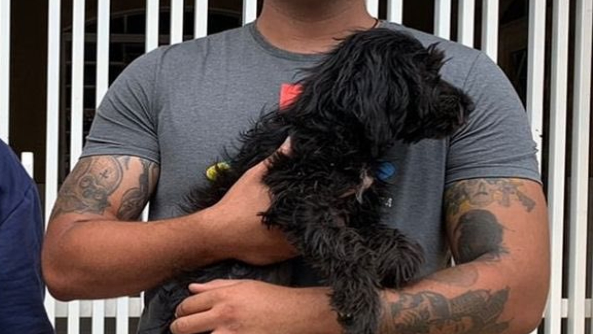 PMs de folga resgatam cadela abandonada amarrada em trilhos de trem em Luziânia