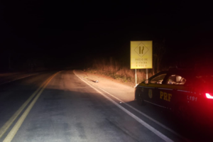 PRF reforça policiamento para feriado de Nossa Senhora Aparecida nas rodovias federais de Goiânia (Foto: Divulgação/ Assessoria PRF)