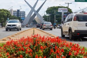 Foto do monumento da Praça do Ratinho com flores em primeiro plano e carros passando