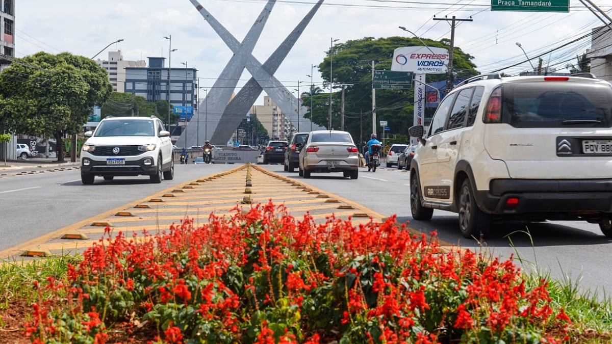Foto do monumento da Praça do Ratinho com flores em primeiro plano e carros passando