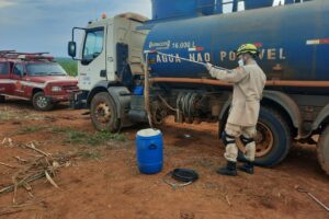 Cobra é capturada entre rodas de caminhão em Goianésia; vídeo
