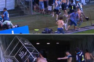 confusão Grêmio x Palmeiras VAR