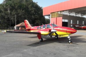 Corpo de Bombeiros de Goiás recebe nova aeronave (Foto: Bombeiros)