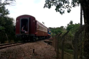 Mulher perde o braço após ser atropelada por Maria Fumaça em Campinas