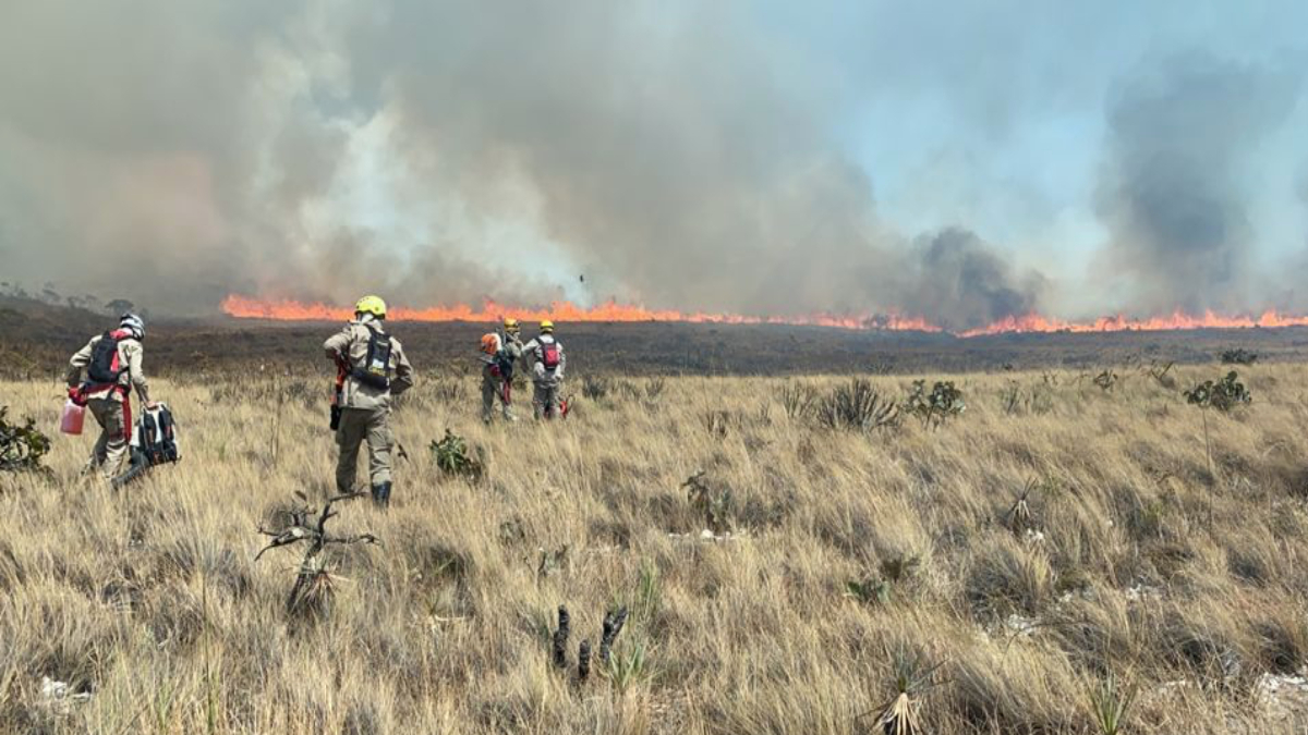 Polícia indicia 4 pessoas por incêndio criminoso de 12 dias na Chapada dos Veadeiros
