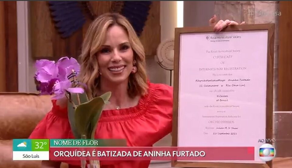 Ana Furtado é homenageada e relembra luta contra o câncer de mama