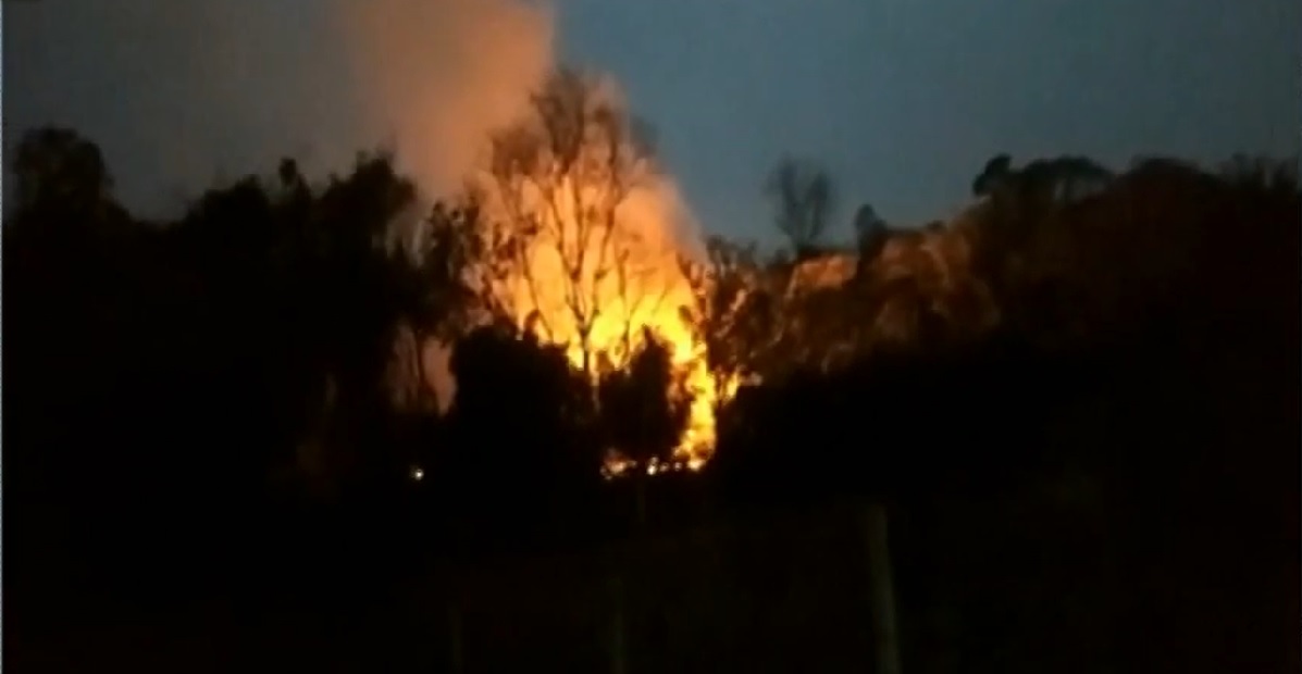 Incêndio em vegetação no bairro Jardim Cristal assusta moradores, em Aparecida (Foto: TV Anhanguera - Reprodução)