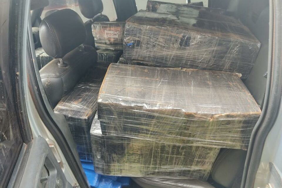 Droga que foi apreendida durante a apreensão (Foto: divulgação - PM)