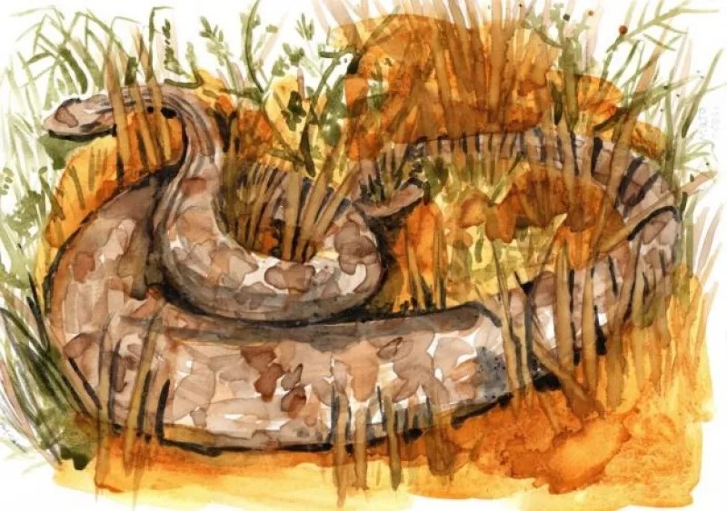 Com os pés plantados nas nuvens têm trabalhos que vão do vídeo à performance. Exposição virtual exibe obras de professores de Artes da UFG