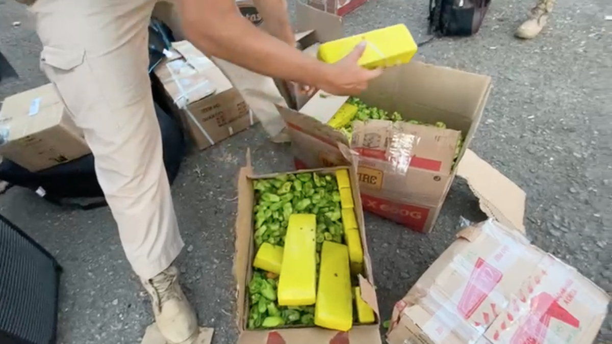 Em uma noite, polícia apreende 600 kg de maconha nas BRs de Goiás