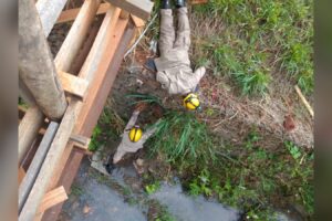 Bombeiros resgatam cachorro que estava dentro do canal do Córrego Botafogo, em Goiânia