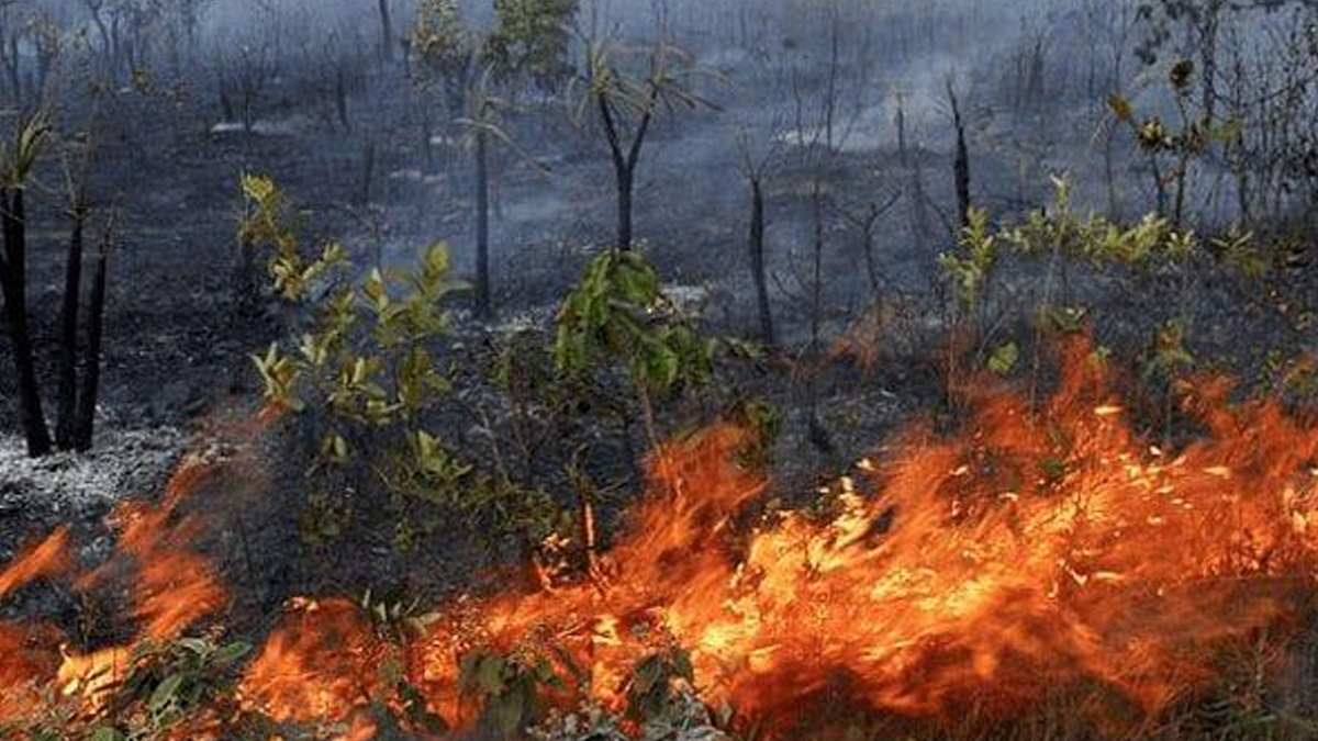 Governo Federal reconhece situação de emergência em Goiânia por desastres naturais