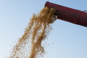 Balança comercial tem superávit de US$ 1,102 bi no início de outubro