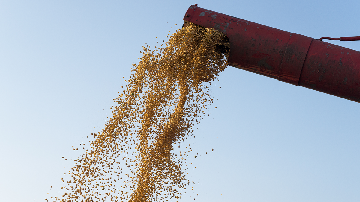 Balança comercial tem superávit de US$ 1,102 bi no início de outubro