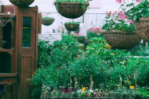 Falsa cliente visita floricultura em Alto Paraíso e furta mercadorias avaliadas em R$ 10 mil (Foto: Pexels)