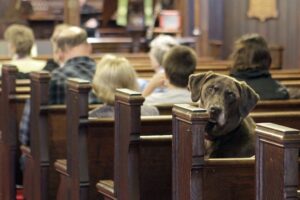 A igreja evangélica Fonte da Vida vai realizar em novembro um ‘culto pet’ em Goiânia. O evento recebeu críticas, apoio e foi alvo de piadas. (Foto ilustrativa: Hegelian News & Reviews/reprodução)