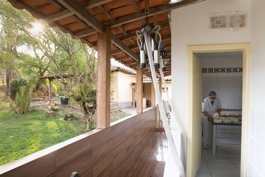 Waldete Aparecida Alves Silva, 68, trabalha na pequena produção de queijo em sua propriedade rural em São Roque de Minas