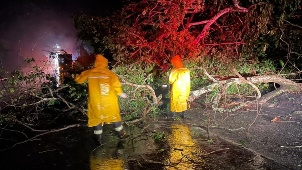 Caminheiro morre após colisão entre duas carretas em Uruaçu, na BR-153