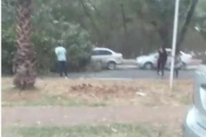 Ventania com nuvem de poeira derruba árvore no Parque Areião; chuva é esperada