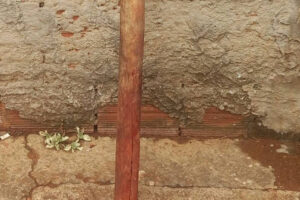 Homem suspeito de matar idoso a pauladas para roubar casa é preso em Goiânia