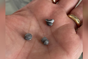 Festa de aniversário acaba com tiros disparados de prédio vizinho no Alto da Glória, em Goiânia