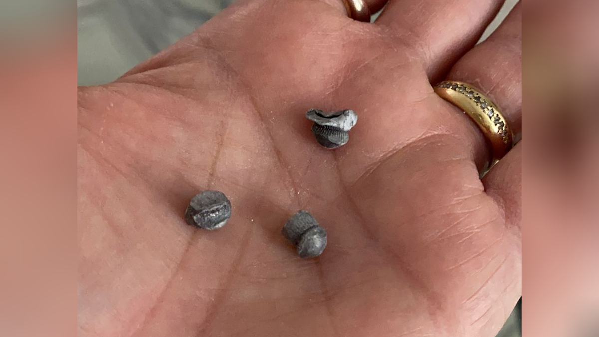 Festa de aniversário acaba com tiros disparados de prédio vizinho no Alto da Glória, em Goiânia