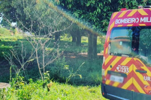 Menino de 10 anos fica desacordado após cair de árvore em Formosa