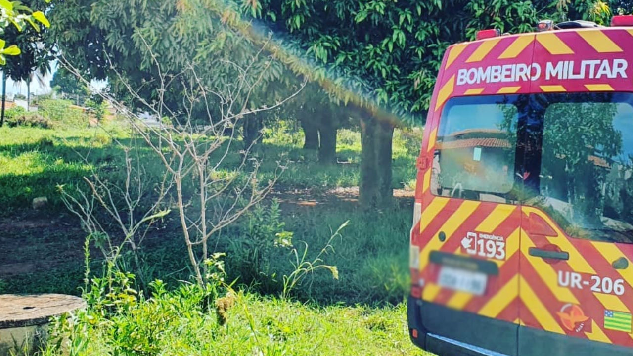 Menino de 10 anos fica desacordado após cair de árvore em Formosa