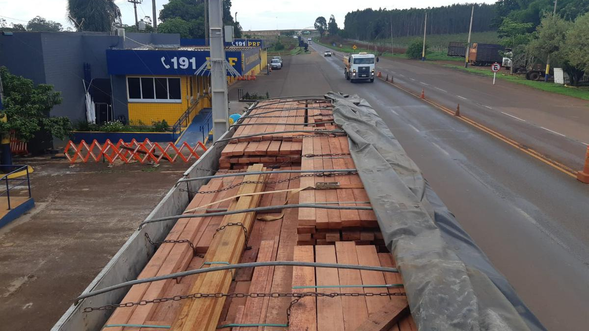 Polícia apreende carga ilegal de madeira avaliada em R$ 35 mil em Jataí