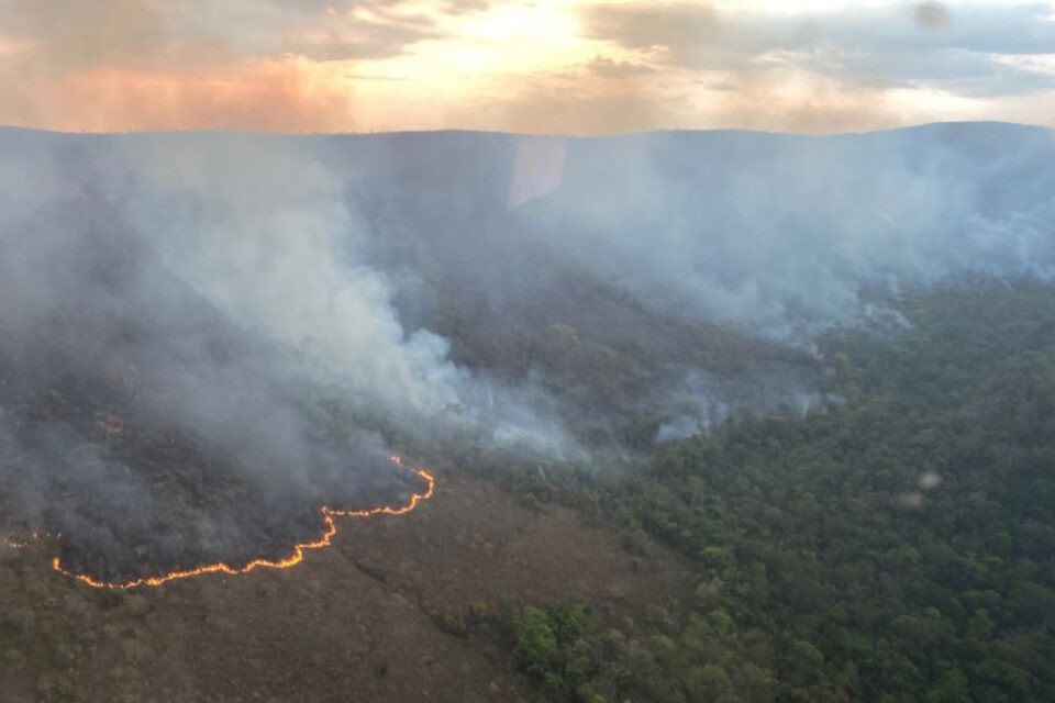 Uma só pessoa foi responsável por 50% da área destruída por incêndio na Chapada dos Veadeiros (Foto: Divulgação CBMGO)