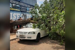 Duas mulheres - mãe e filha - viveram momentos de tensão após uma árvore cair sobre o carro em que estavam. (Foto: Corpo de Bombeiros)