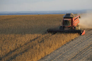 IBGE: 32% dos solos do país têm potencial natural para a agricultura