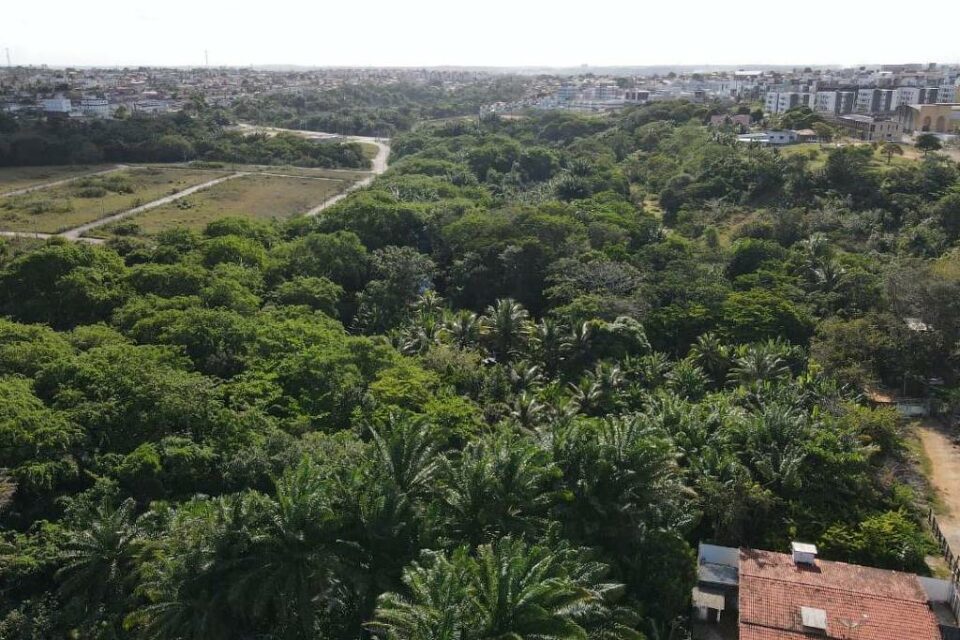 Área de mata onde a mulher ficou desaparecida por quatro dias