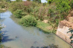 Córrego Arrozal, que integra a bacia do Rio dos Bois (Foto: Divulgação)