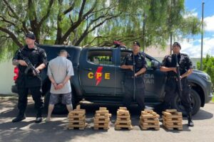 Entorpecentes foram apreendidos durante a manhã de terça-feira (26). (Foto: Divulgação/CPE)