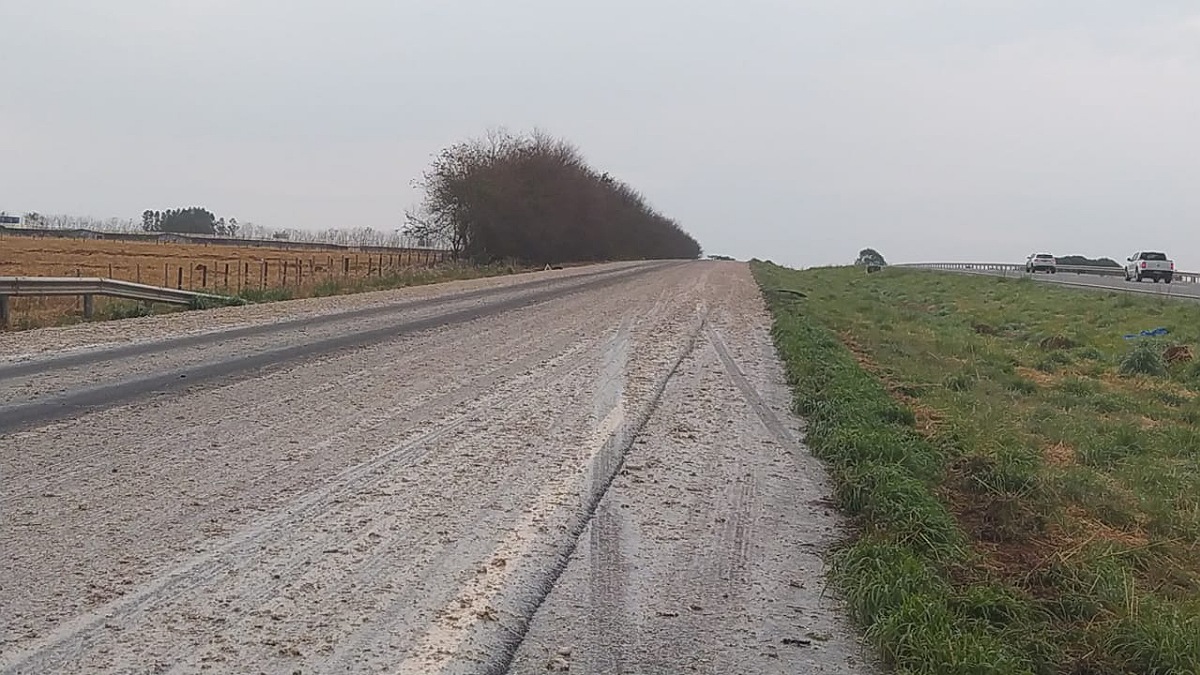 Trecho da BR-060 com vísceras de animais na pista