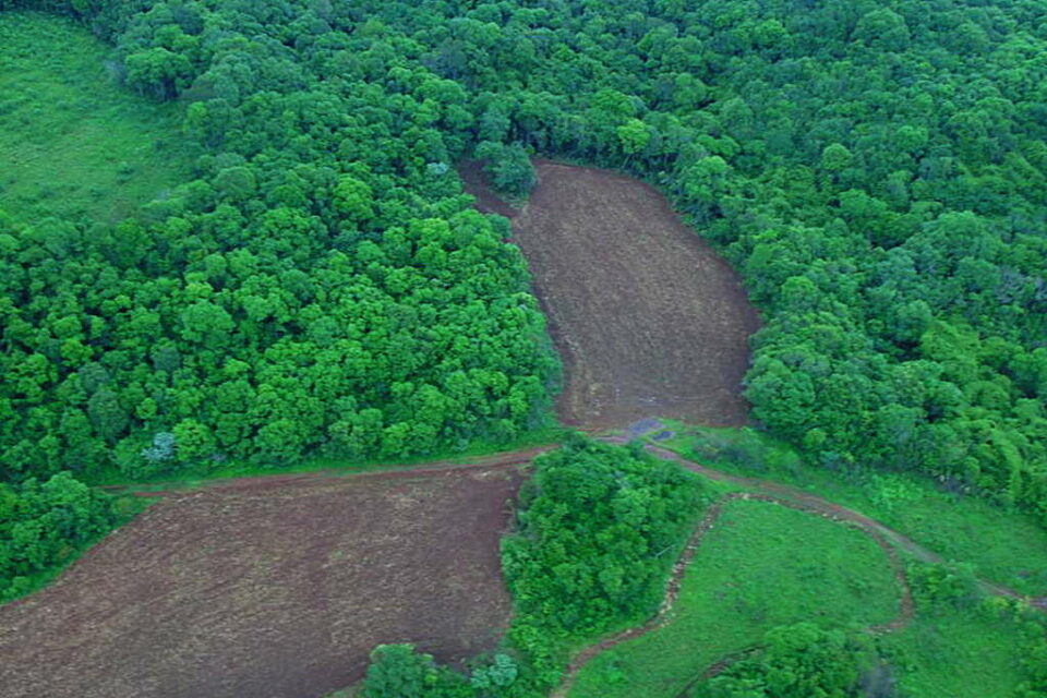  Guarita, território indígena próximo a onde o crime ocorreu, é a maior reserva indígena do Rio Grande do Sul,